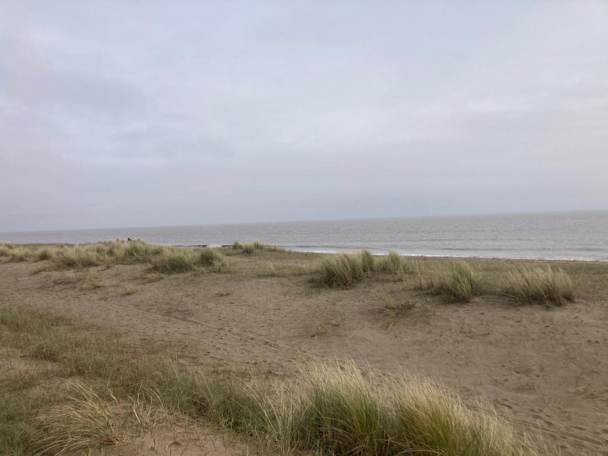 Pet Friendly Holiday Home On Golden Palm Skegness Exterior foto